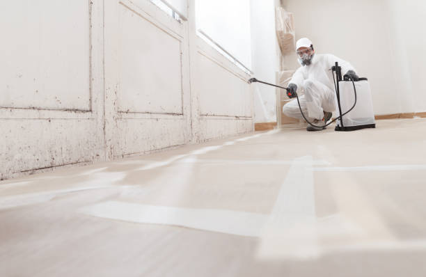 24/7 Emergency Mold Remediation experts in Silverdale, WA
